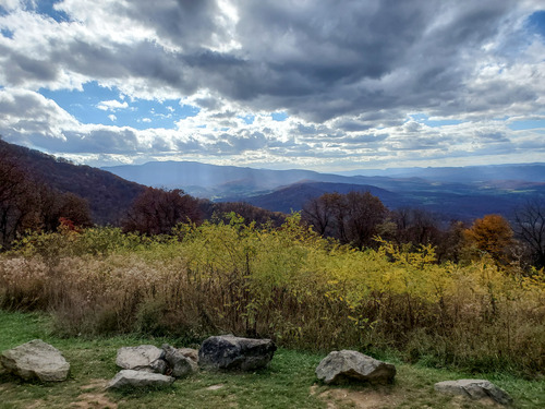 Trees fade from dull yellows and oranges as their leaves fall off at a mountainous overlook with small rocks in the foreground.