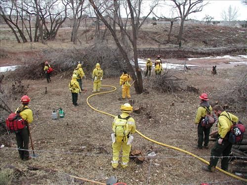 Hubbell Trading Post Exotic Species Pile Burning, February 2002
