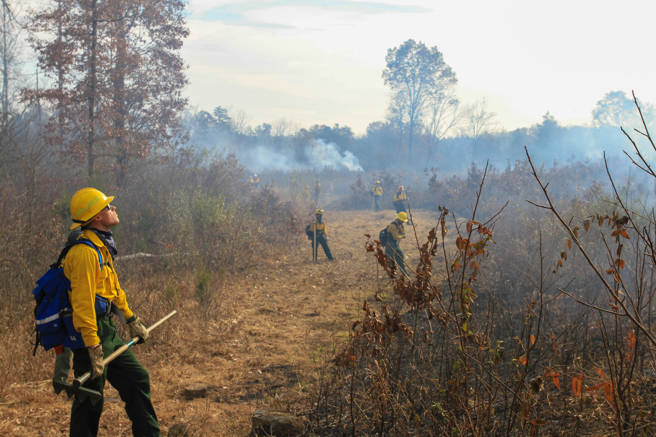 Several people stand next to active prescribed fire with smoke rising around them.