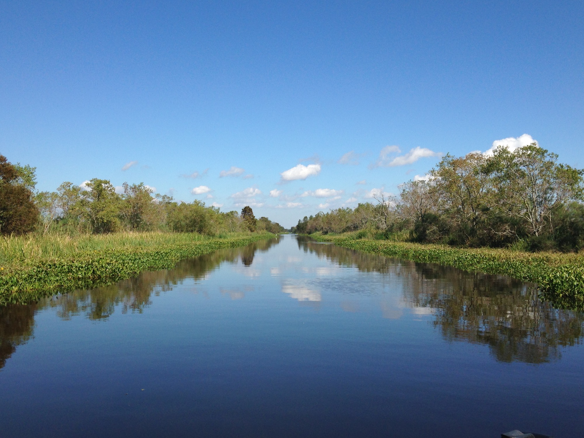 Photograph down a canal in Barataria Preserve. 