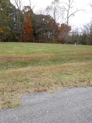 APCO- Moon House Septic System Drain Field 2