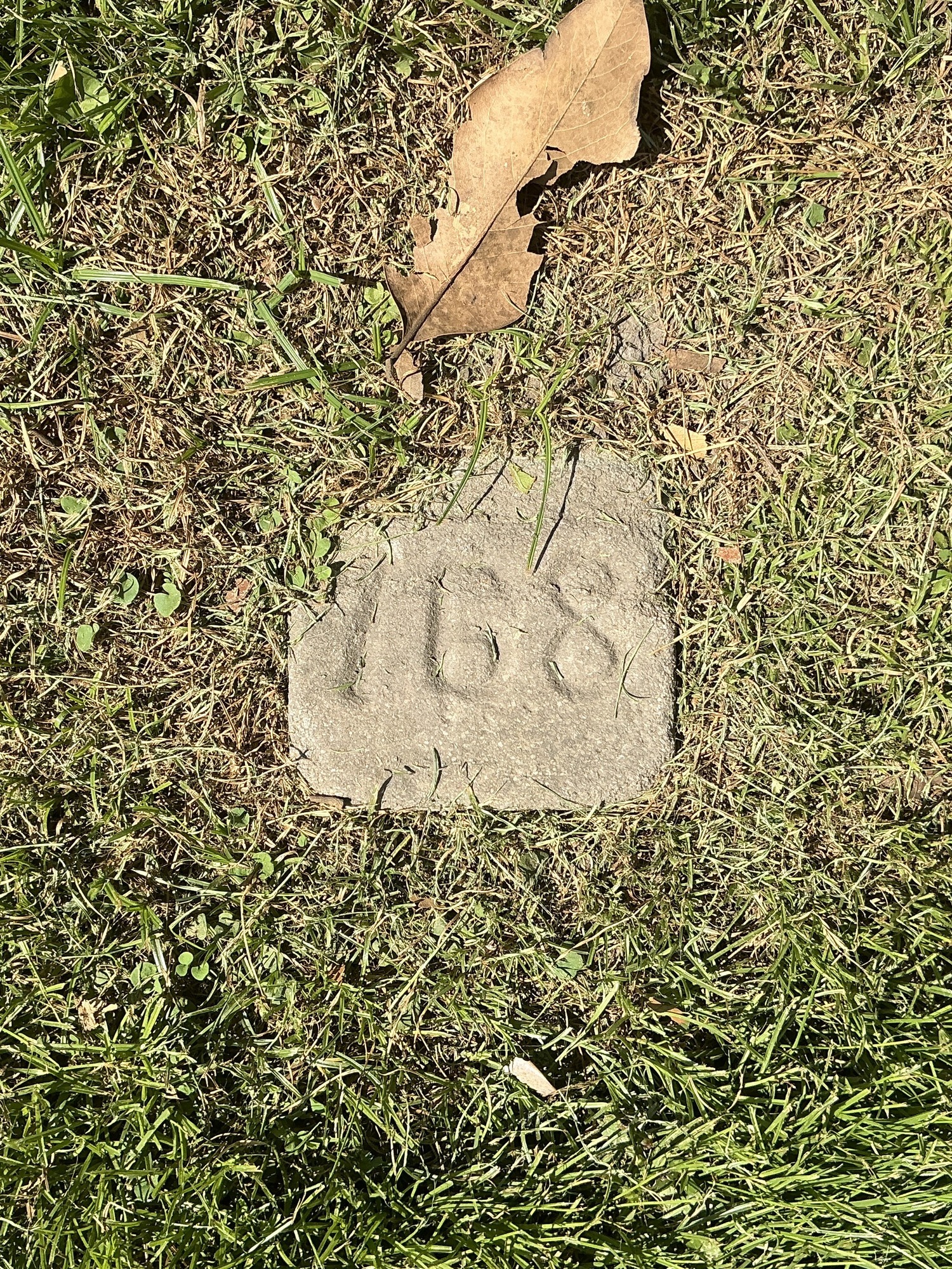 Top of flat marble marker