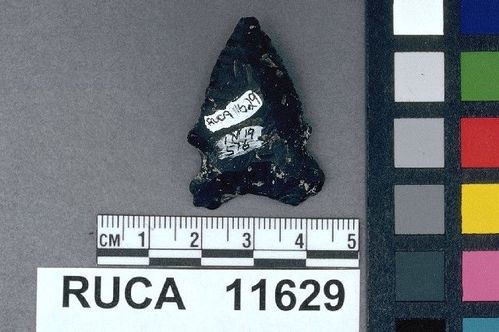 RUCA   11629 -- Point, Projectile