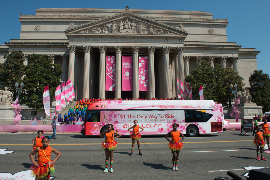 A DC Circulator bus with pink and white cherry blossom wrap passes in front of the National Archives during the Cherry Blossom Parade. Some cheerleaders stand at ready position in the foreground.