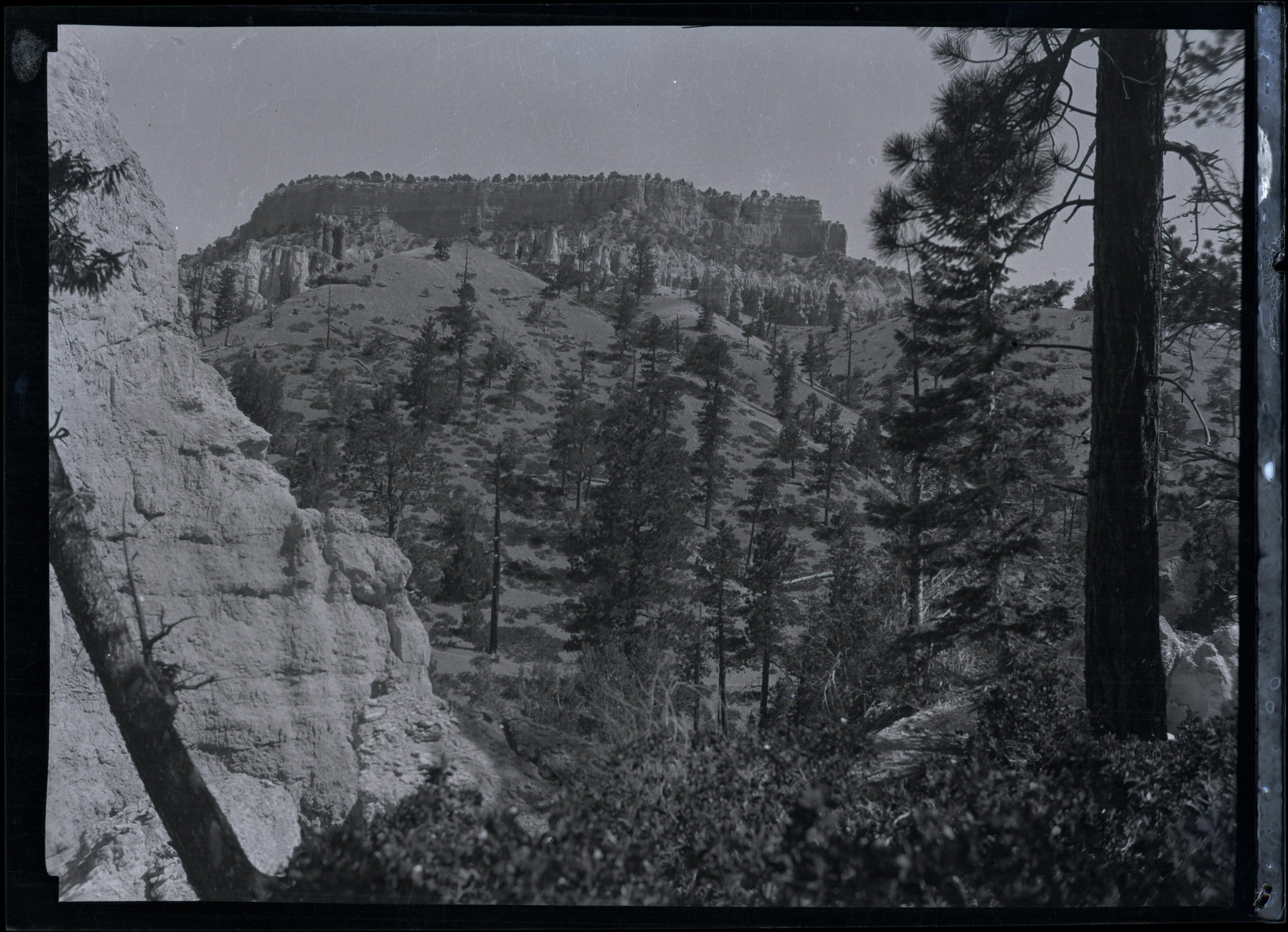 BRCA Museum and Archives Image