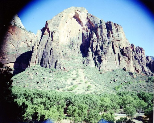 Color Photos of Zion Canyon - 4x5.