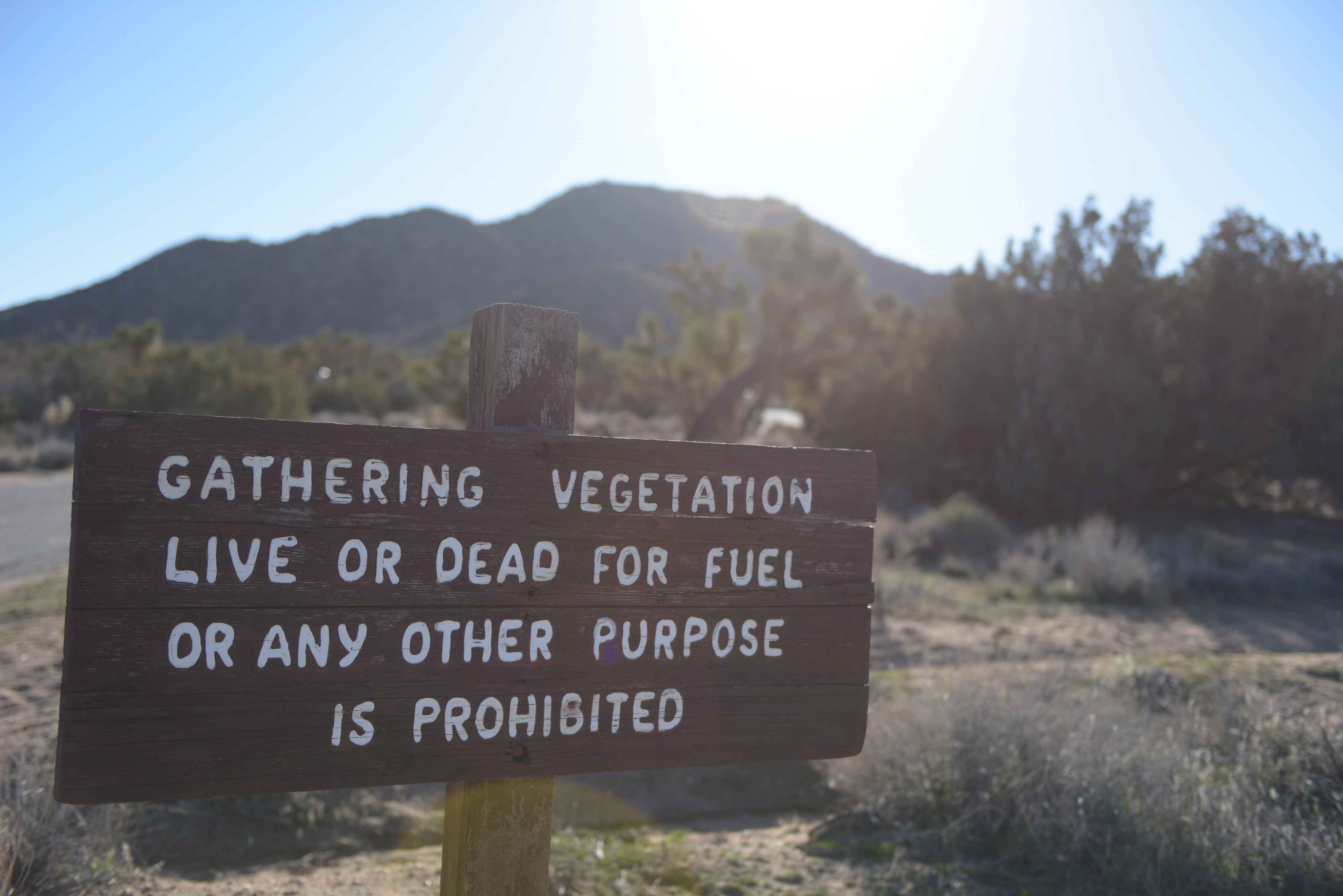A sign that reads, gathering vegetation live or dead for fuel or any other purpose is prohibited. 