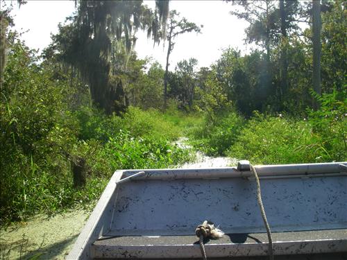 Remove Debris from Marine Waterways and Canals Jean Lafitte National Historical Park and Preserve in May 2010.