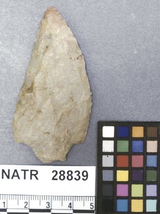 NATR   28839 -- Ledbetter Cluster projectile point