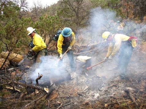 Two firefighters work with tools to dig up the ground while a third uses a chainsaw to saw a log