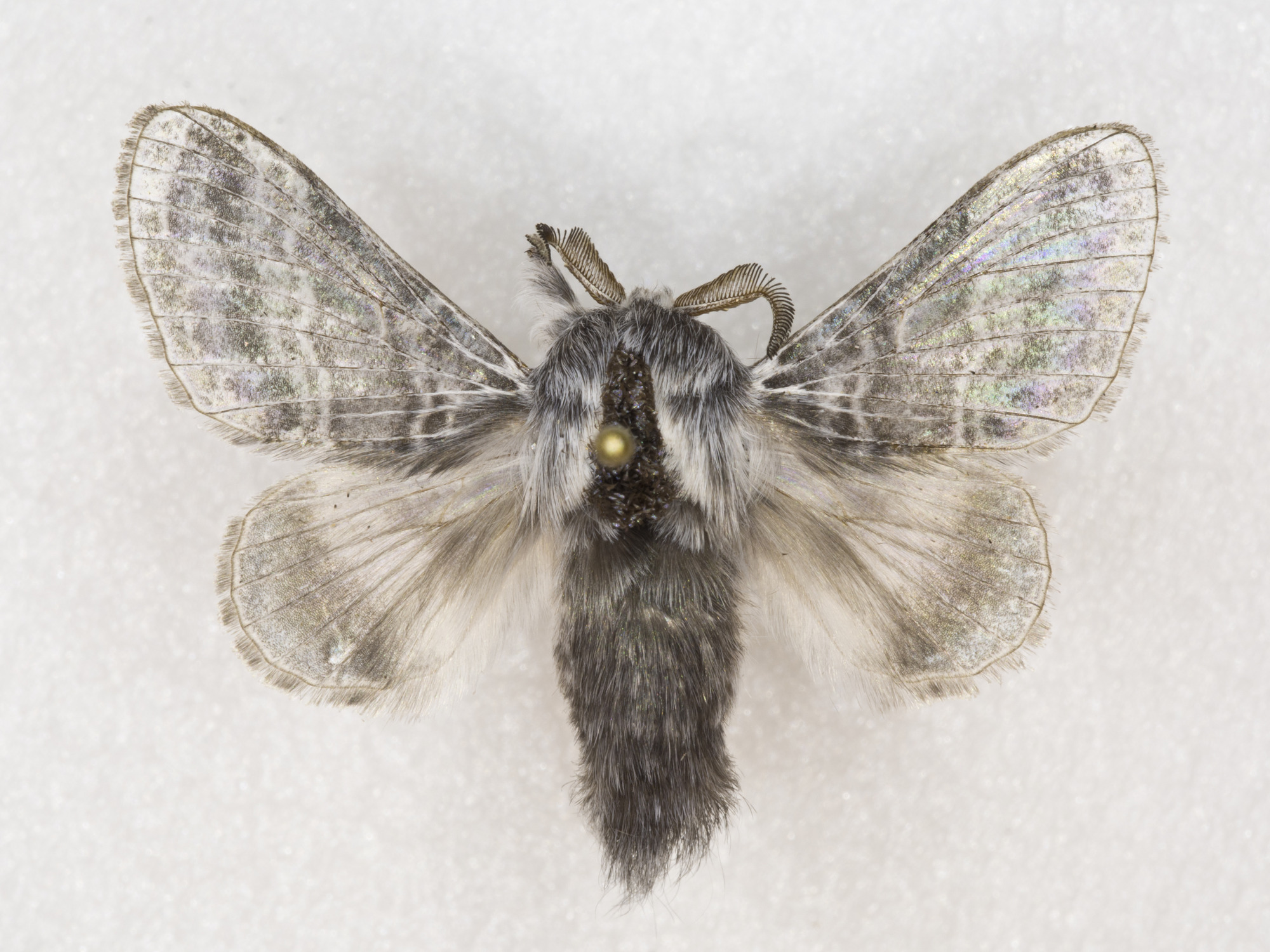 Grand Canyon Museum Collection
Address: 2 Albright Ave, Grand Canyon Village, AZ 86023
Phone: (928) 638-7769