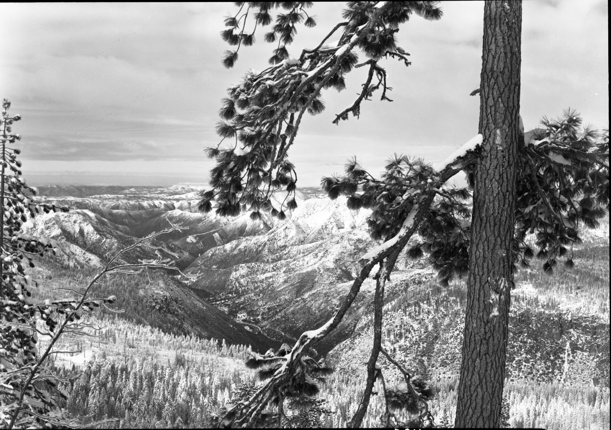 From Glacer Point Road after storm.