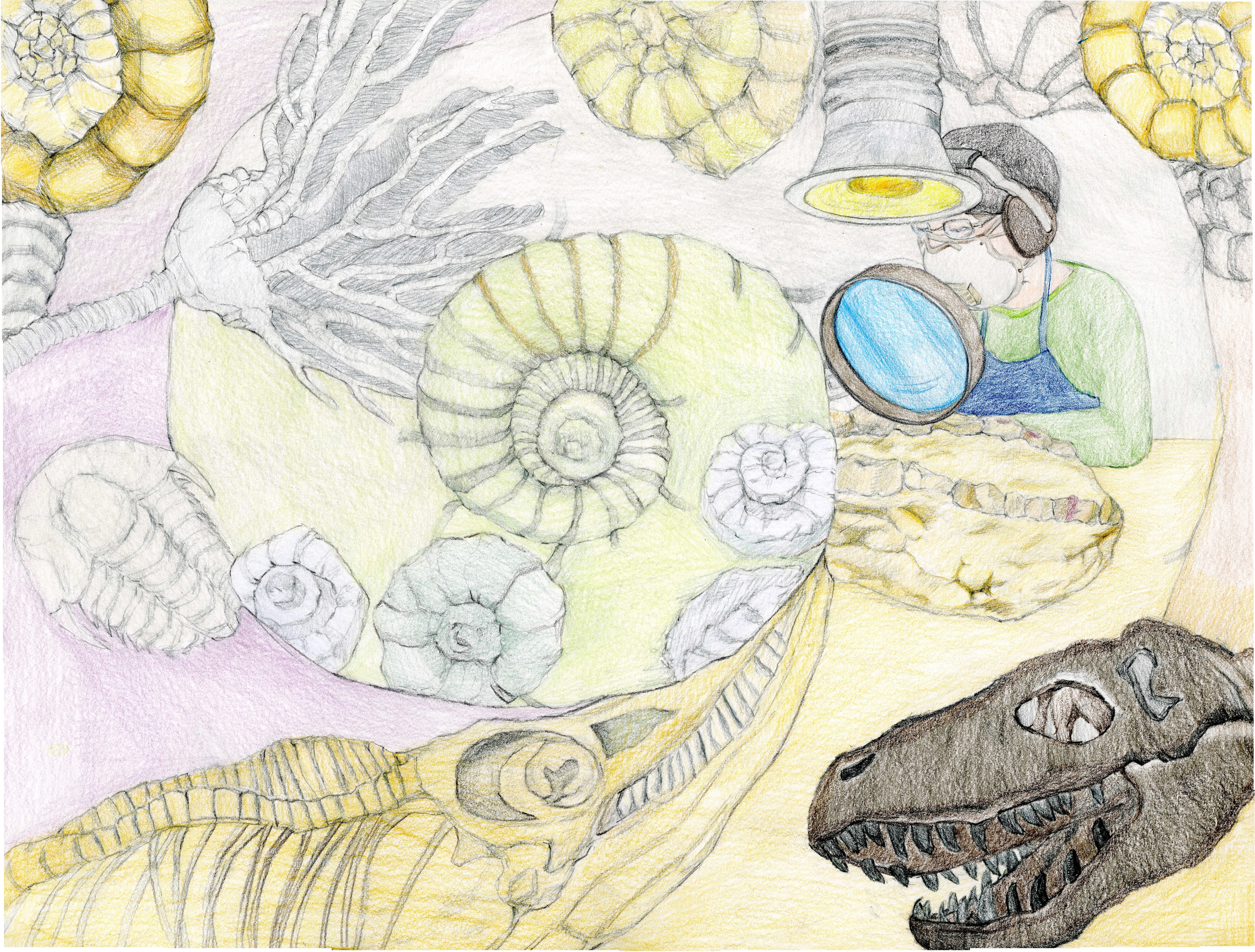 A paleontologist works in a lab to clean off fossils. They are surrounded by many different kinds of fossils. 