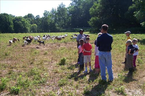 Junior Ranger, Goats and Gobblers, Miscellaneous