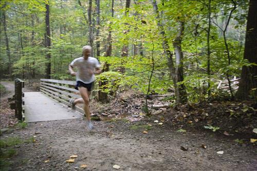 Fall Fun Run in the woods