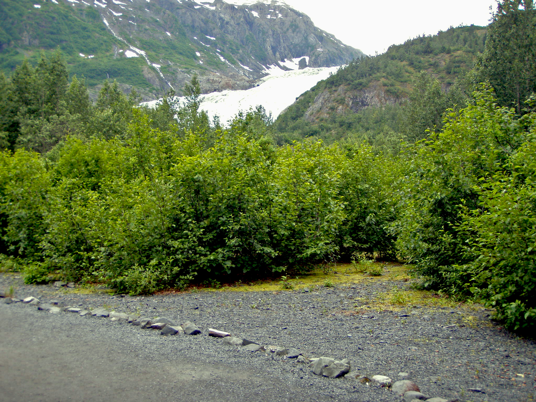 Exit Glacier viewed from a point on the main trail just beyond the stone shelter kiosk on July 28, 2010
