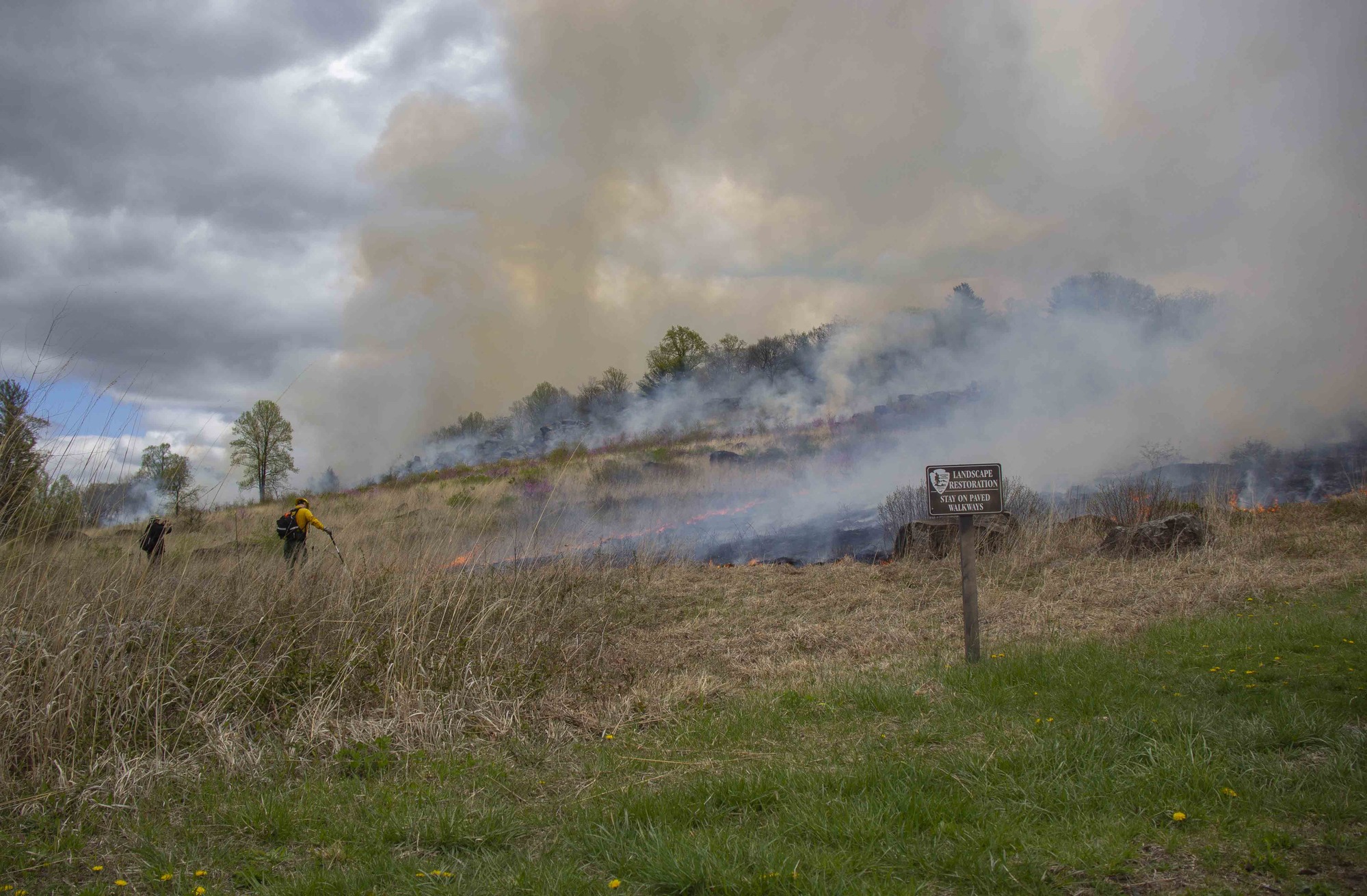 Two wildland firefighters monitor the prescribed fire. They stand on the left side while the fire burns close by.
