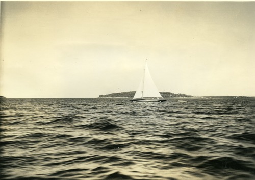 SAILBOAT - SUTTON ISLAND IN BACKGROUND