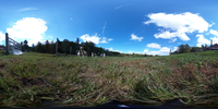Spherical image of goats in a pasture