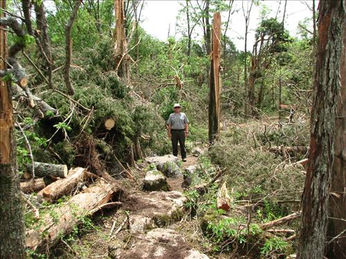 Photos taken in the aftermath of April 10, 2009, tornado at Stones River National Battlefield