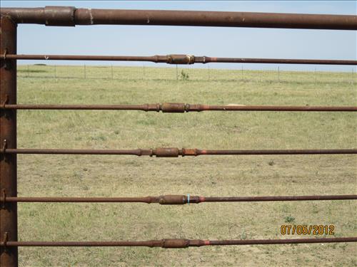BADL_Bison_Corral_Fence_and_Compound