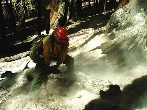 Giant wildfire used for resource benefit, Sequoia and Kings Canyon National Parks, summer 2003
