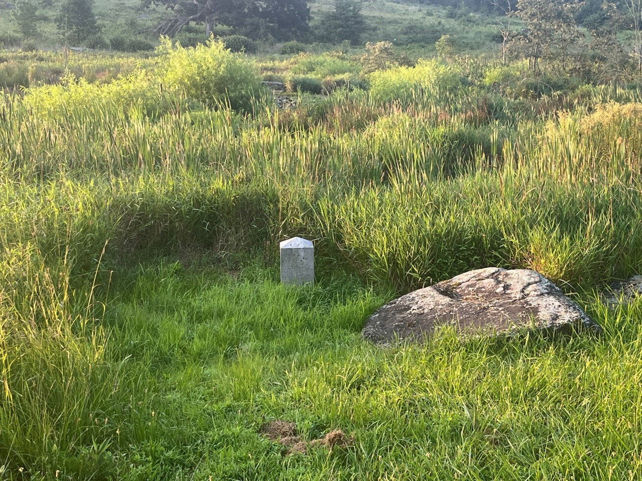 A small white granite obelisk stands among green grass in front of taller grasses next to a large boulder.