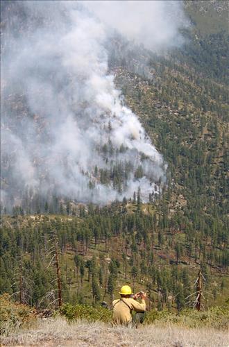 Fire monitors observe fire activity on the Comb Complex wildfire, Sequoia and Kings Canyon National Parks, July 2005