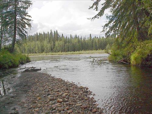 Bonanza Creek Water Quality Testing, Yukon-Charley Rivers, 2003