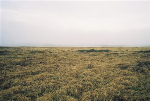 1 Gates of the Arctic National Park and Preserve Itkillik Birds June 2006