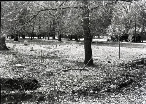 View across cemetery before wall was built.