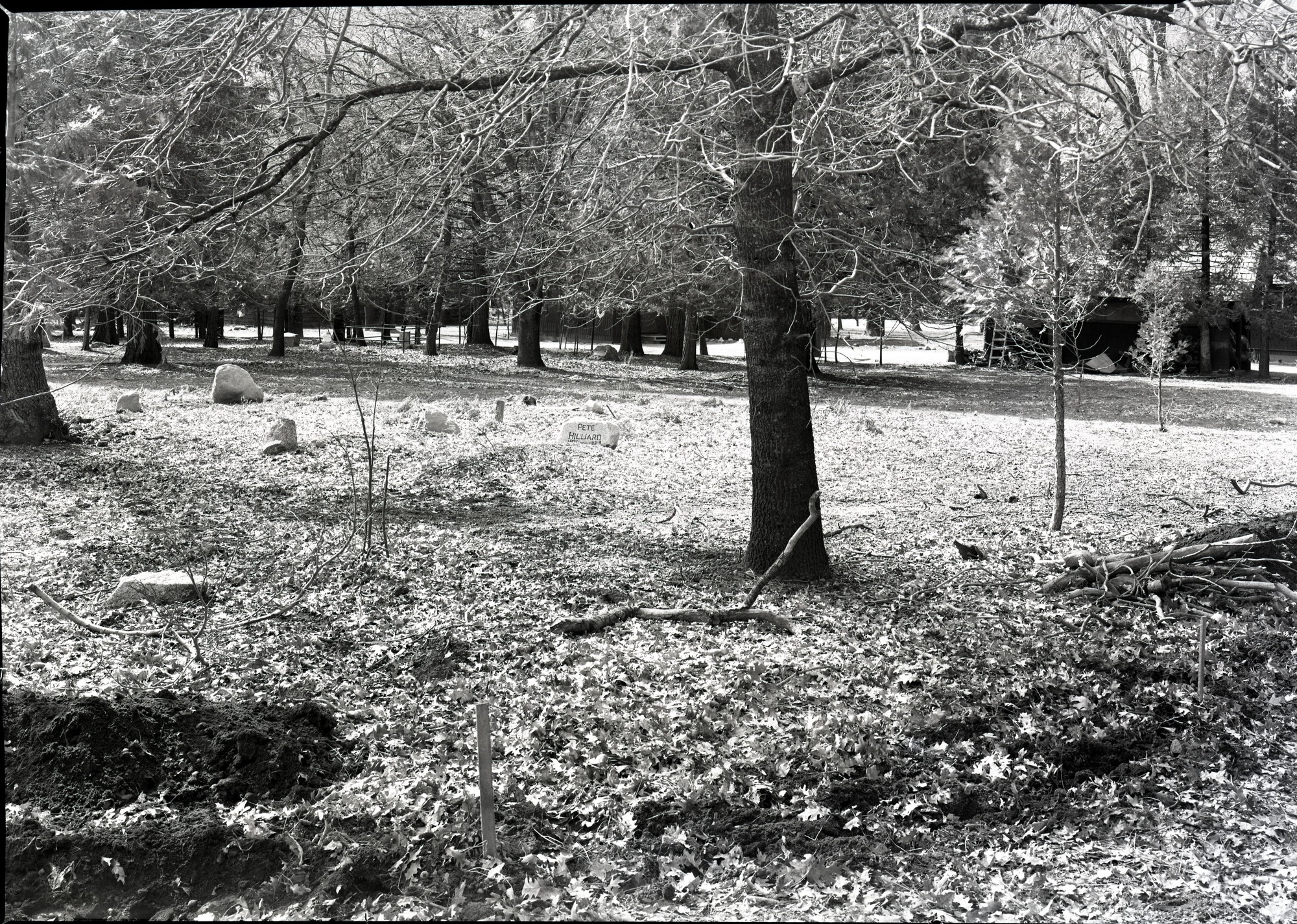 View across cemetery before wall was built.