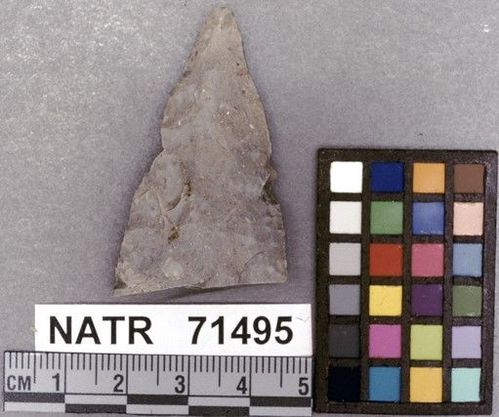 NATR   71495 -- Untyped projectile point