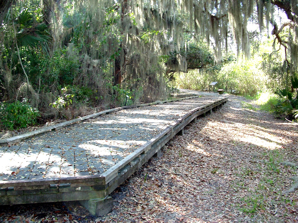 Image of boardwalk trail at seminole rest