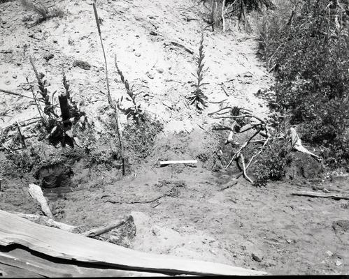 Vandalism of natural resources at Neck Spring, two small seeps. Water matters involving Evan S. Lee.
