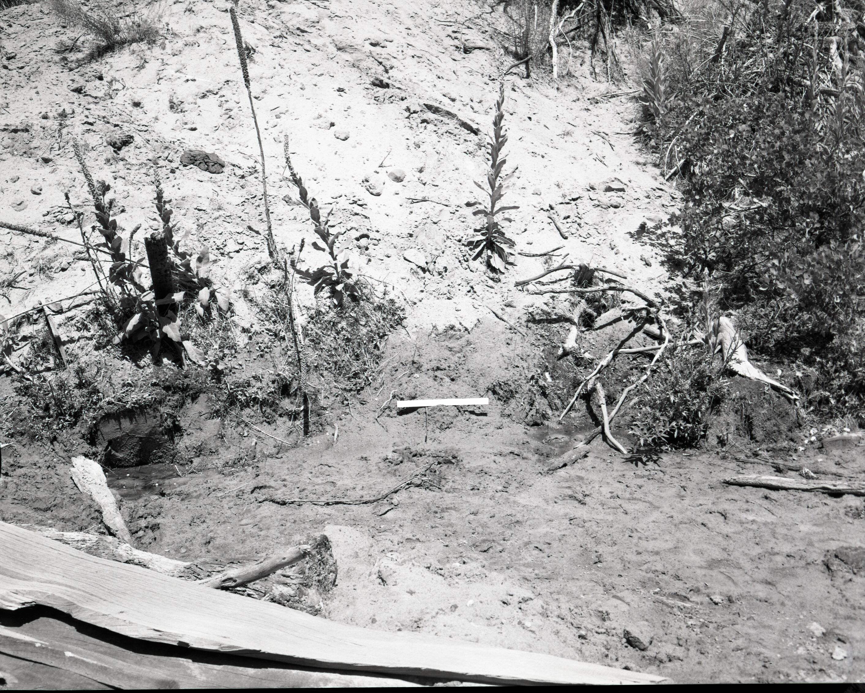 Vandalism of natural resources at Neck Spring, two small seeps. Water matters involving Evan S. Lee.