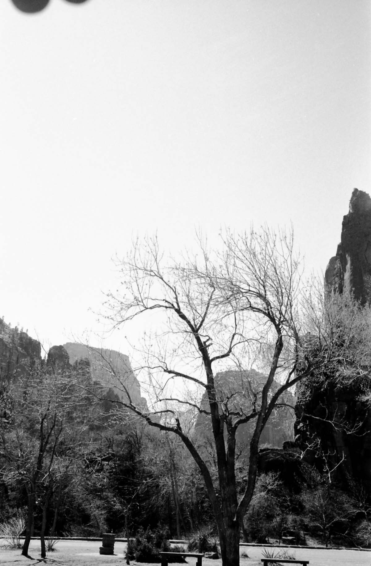 BW Photos of the Temple of Sinawava - 35mm.