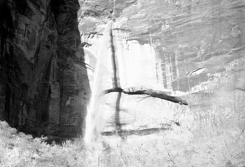 Waterfalls at Weeping Rock.