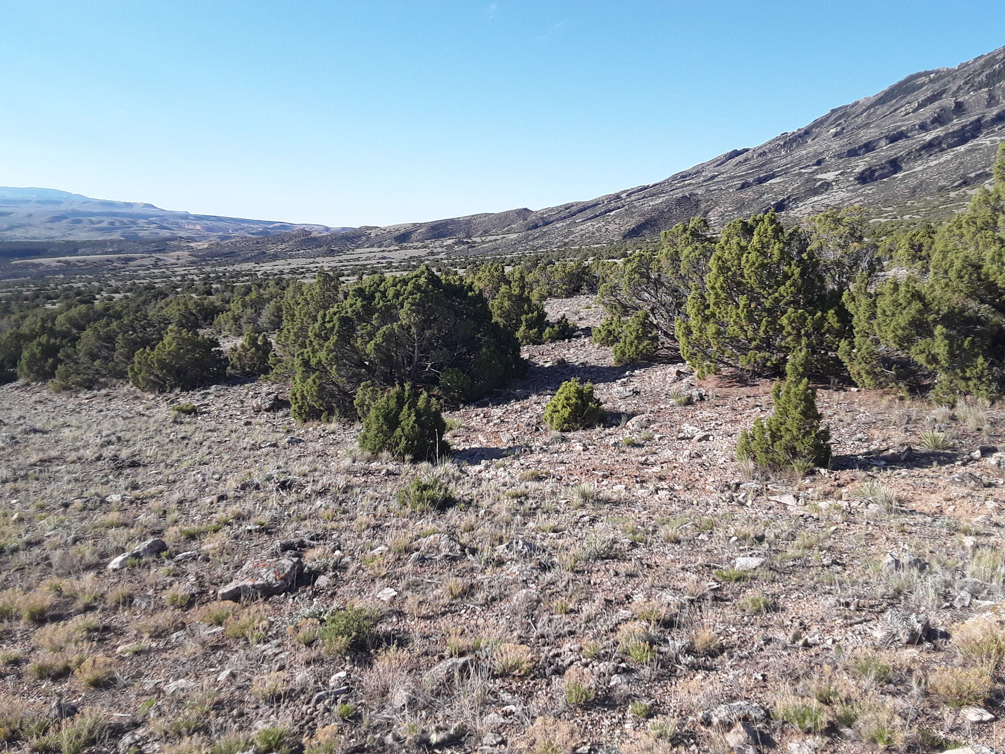 Image of the vegetation and landscape at photo point in Bighorn Canyon NRA 