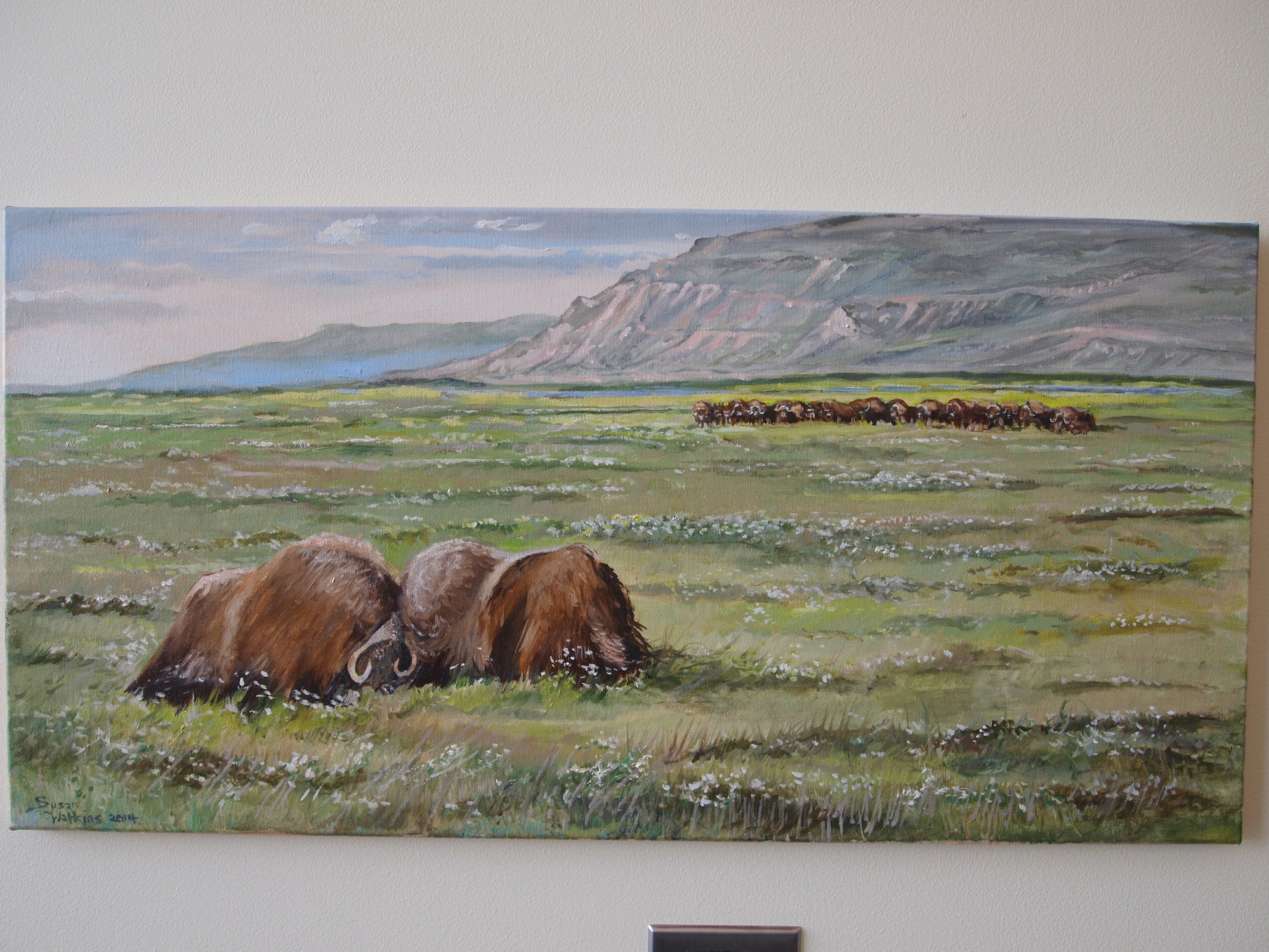 Oil painting of two fighting muskoxen on wall