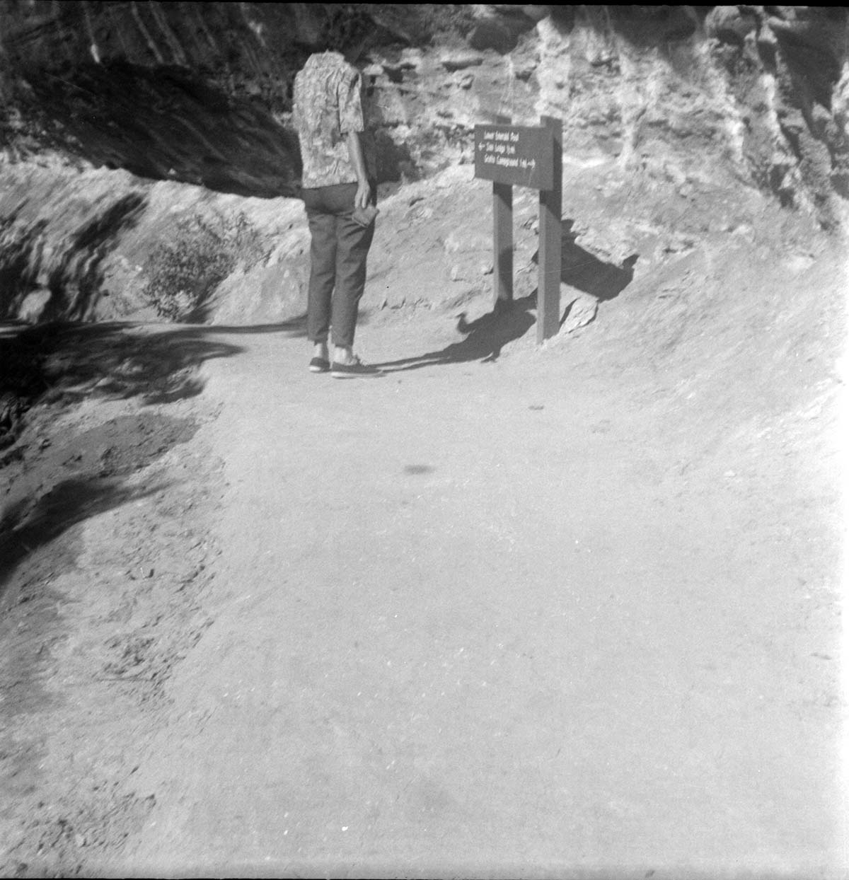 Visitor reading the sign for the Emerald Pool trail during reconstruction.