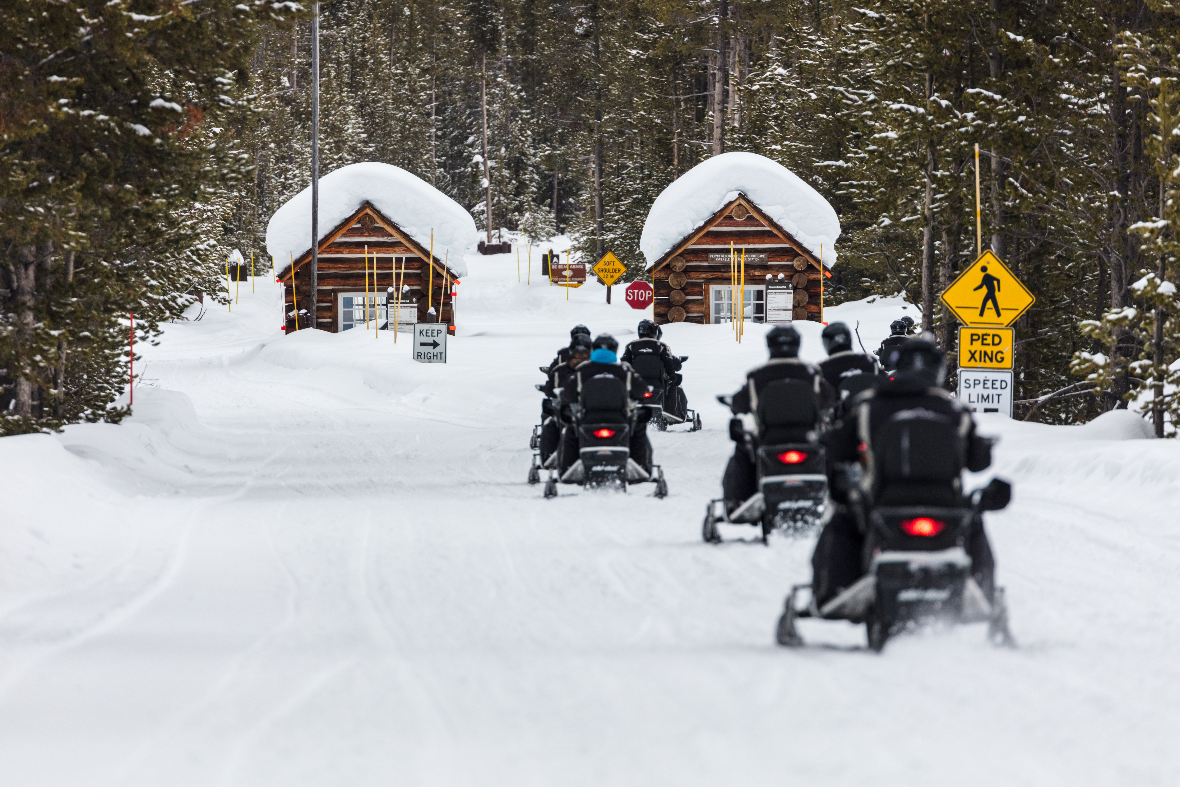 A line of snowmobilers driving away from camera towards two log entrance gates