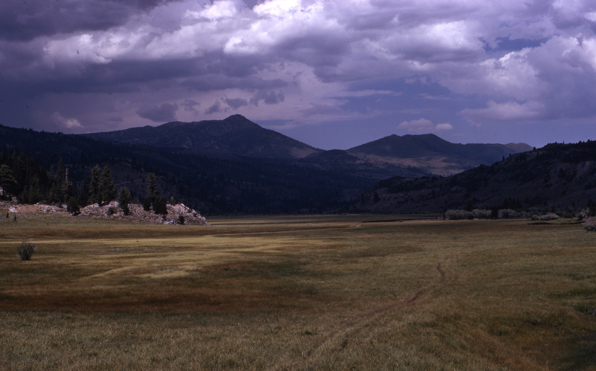 Leavitt Meadows