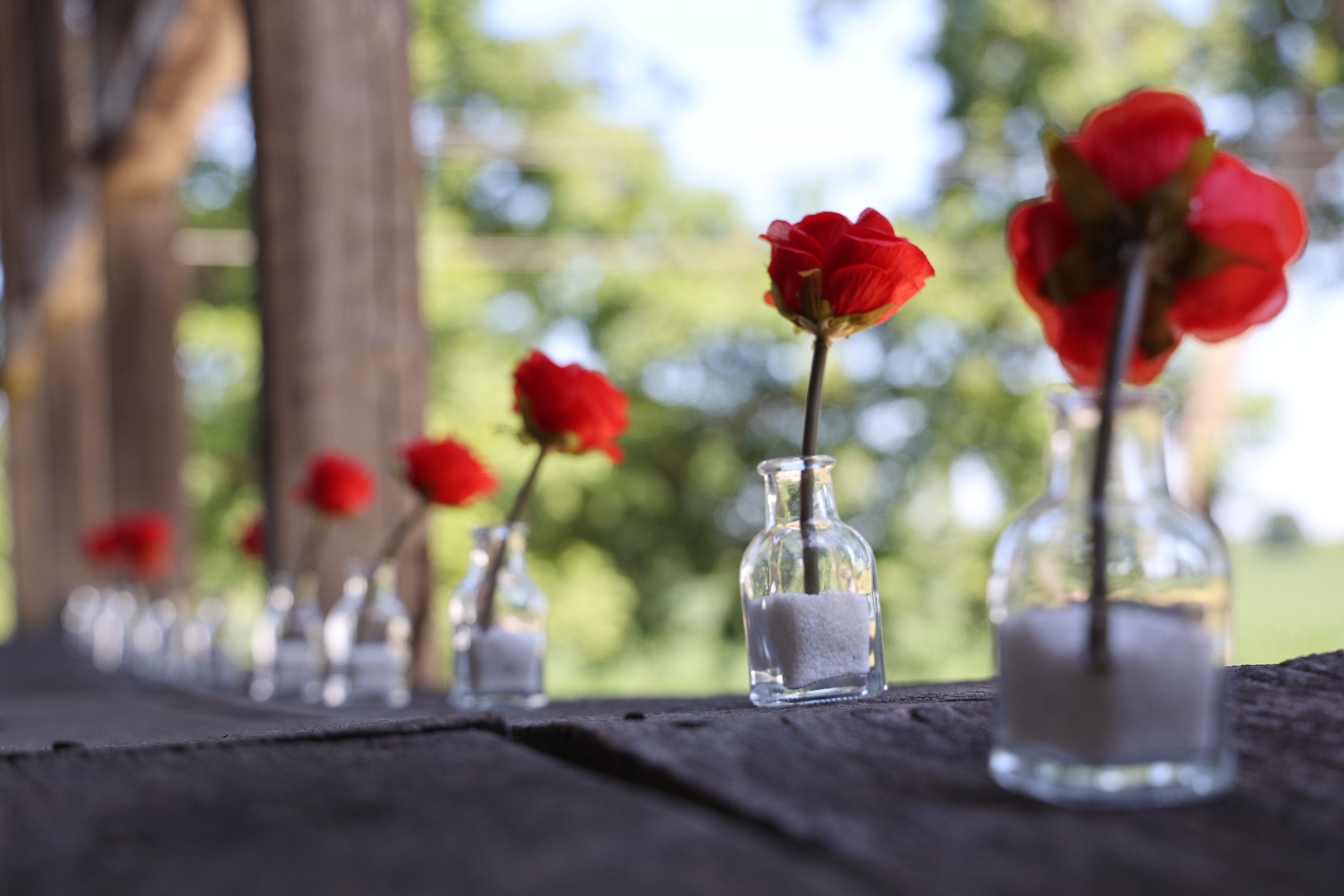 Single red roses sit in glass jars filled with white sand on a brown wooden porch.