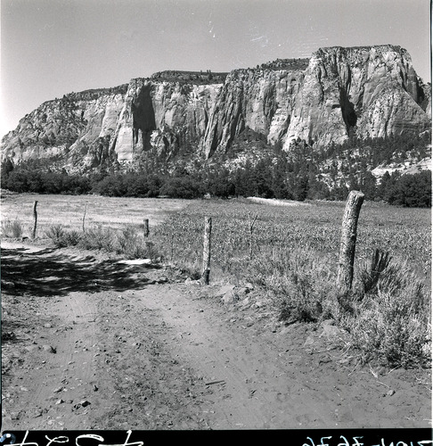 Road leading from Kolob Reservoir road to Hop Valley.