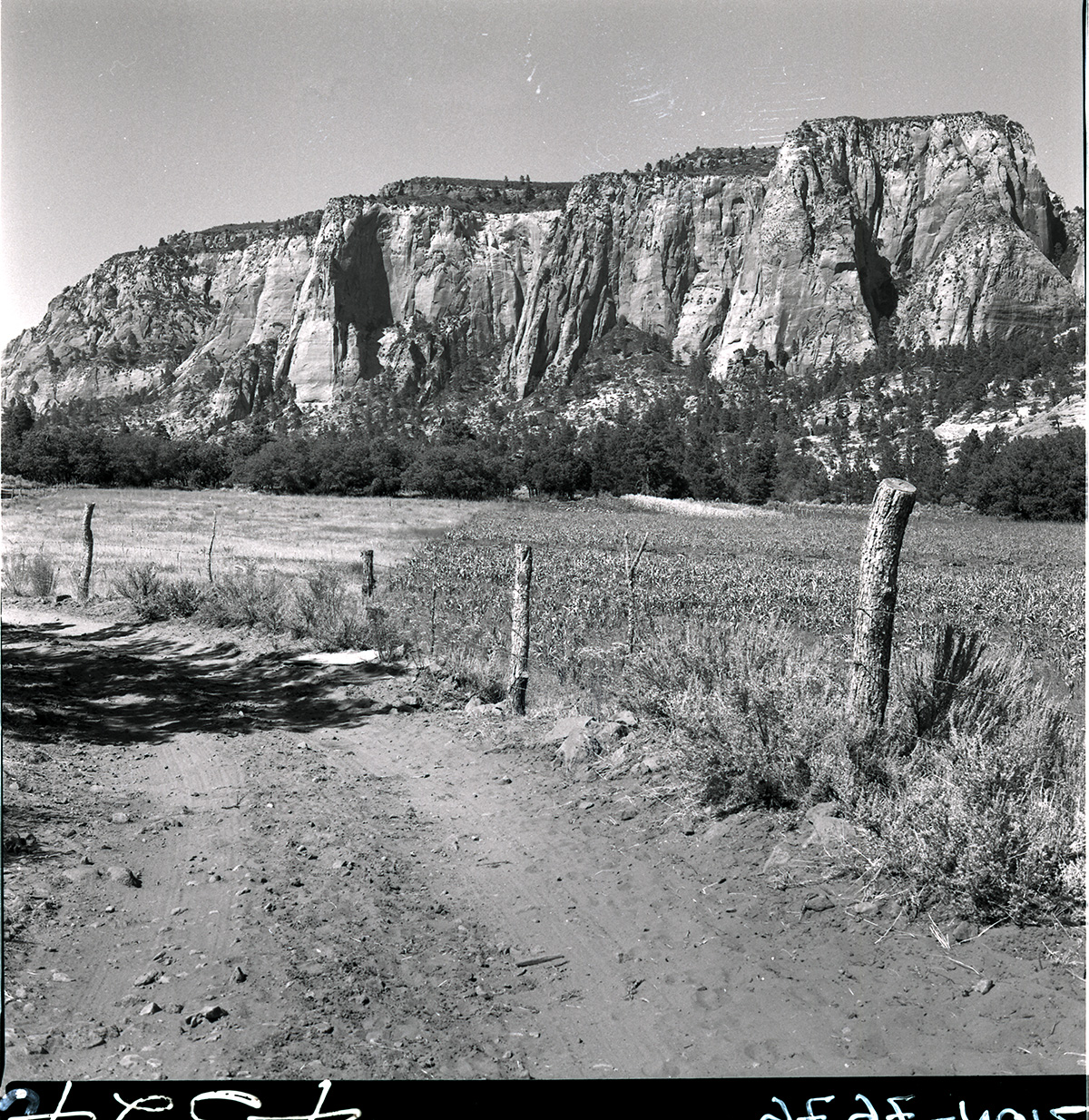 Road leading from Kolob Reservoir road to Hop Valley.