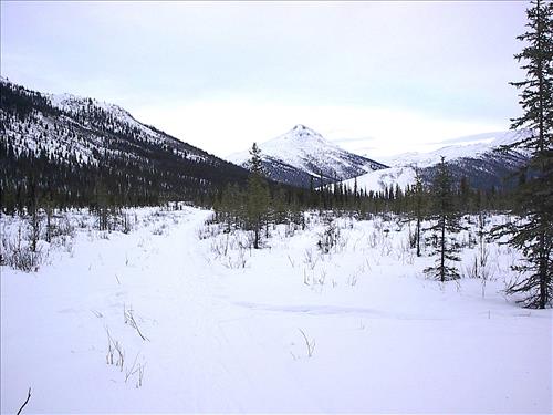 1 Gates of the Arctic National Park and Preserve Hares Survey 2004