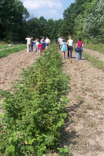 CVEEC Junior Ranger Program, Down & Dirty Farming, Walking in Fields