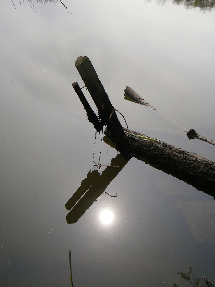Morning at Accokeek Creek