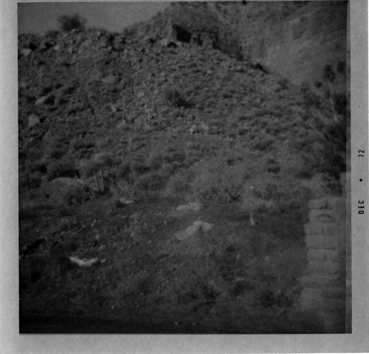 Fence construction at the South Entrance.